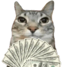 motion emote
