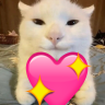 tou emote