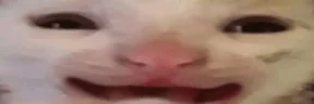 hiiidance emote