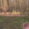 NOOOOO emote