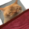 spoingusBedge emote