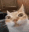 EmptyStare
