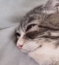 imtired emote
