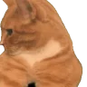 CatMew emote