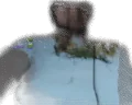 PUMPING emote