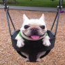xdLookingAtYou emote