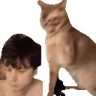 playvariety emote