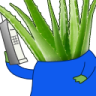 ALOeVera emote