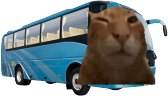 buhs emote