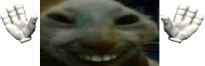 xddcaught emote