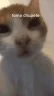 toma_chupete emote