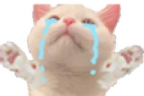 nyoo emote