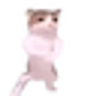 notcatPls emote