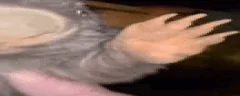 wideBober emote