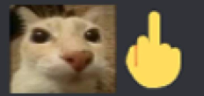 fakiu emote