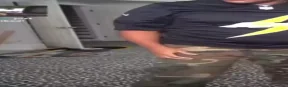 FanumTax emote