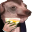 creatureCheers