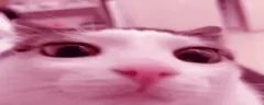 pink emote