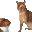catSlap