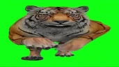 TIGR emote