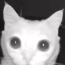iamhere emote