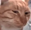 Judging emote
