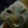 xbx emote