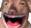 creatureomE