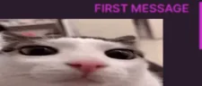 Firsttimeplinker emote