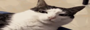 usypiam emote