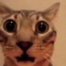 YoCuando emote