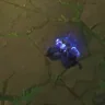 RYZEING emote