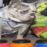 HELLNAW emote