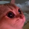 LOVE emote
