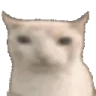 CatEat emote
