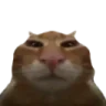 buub emote