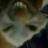 xpx emote