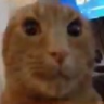 ohokay emote