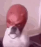 daredevil emote