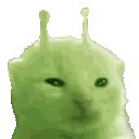 seventv_01HNEKZY4G0001XDKW9GFY7KKV