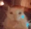 aaa emote