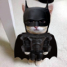 ElGatoBatman emote