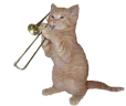 catTrumpet emote