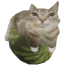 melon emote
