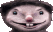 MOLEEYES