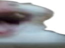 Haha emote