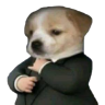 basedog emote