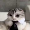 Adgent emote
