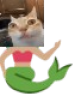 Ermaid emote