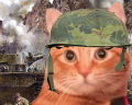 WARlson emote